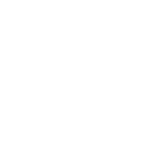 Icon loupe search