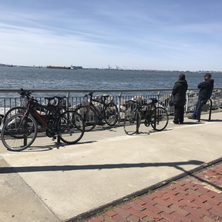 Brooklyn Waterfront Bridges Views