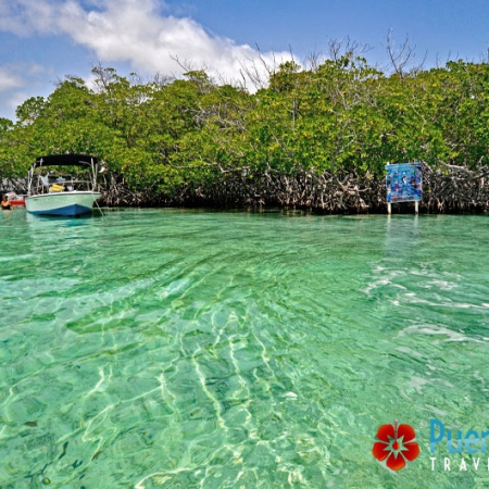 Bucketlist Rainforest Waterfall Caracoles Key Sunset And Biobay Swim Private Vip Boat Experience