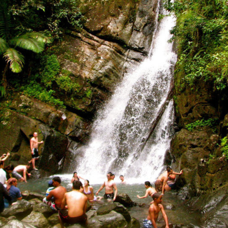 Full Day Rainforest And Waterfall Adventure From San Juan