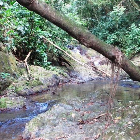 Hidden Waterfall Hike Adventure