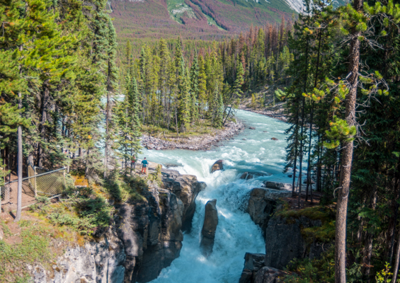 Maligne Canyon and waterfall