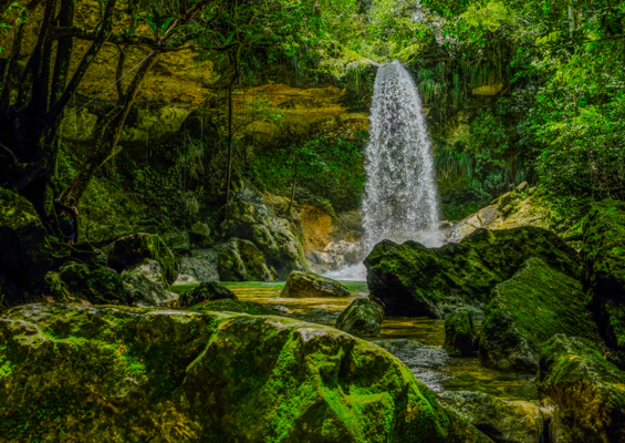 Cascadas De Gonzalandia