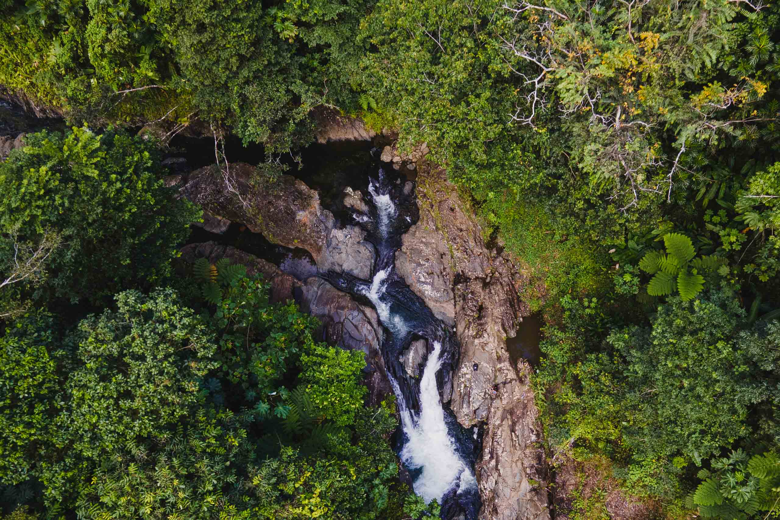 Small cascade in El Yunque national forest, Puerto Rico