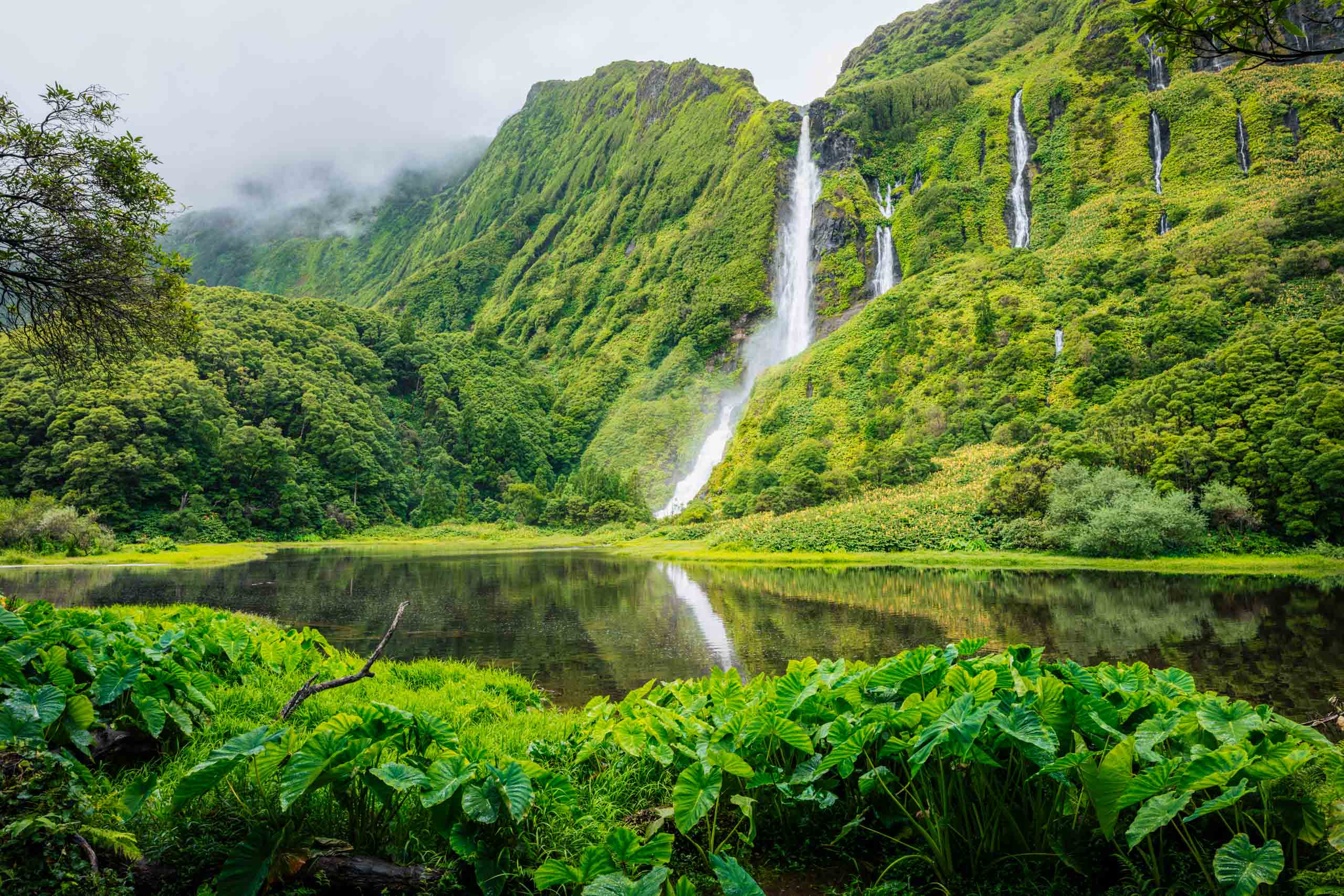 Waterfalls, green paradise hidden in Flores Island, Azores, Portugal