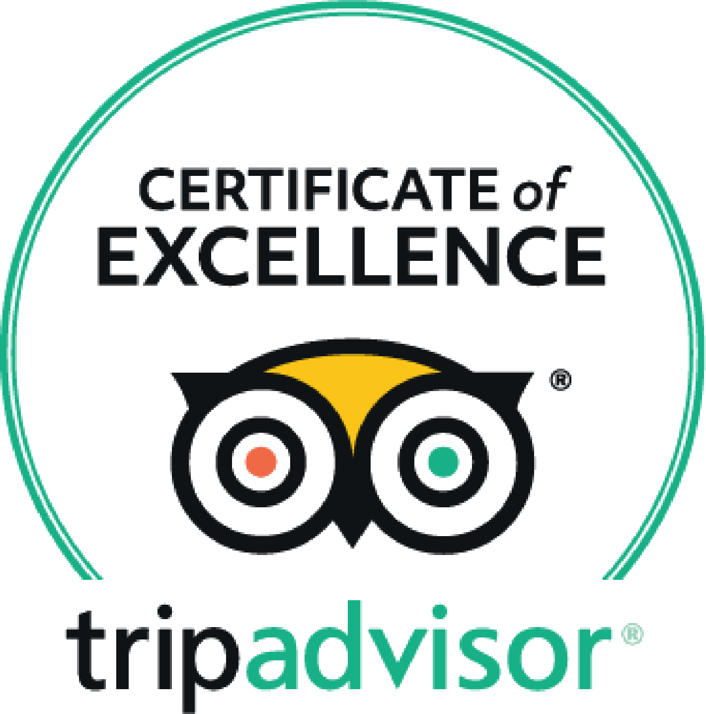 Tripadvisor road tour reviews